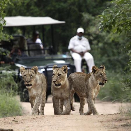 Kuname Lodge Karongwe Game Reserve Exterior foto