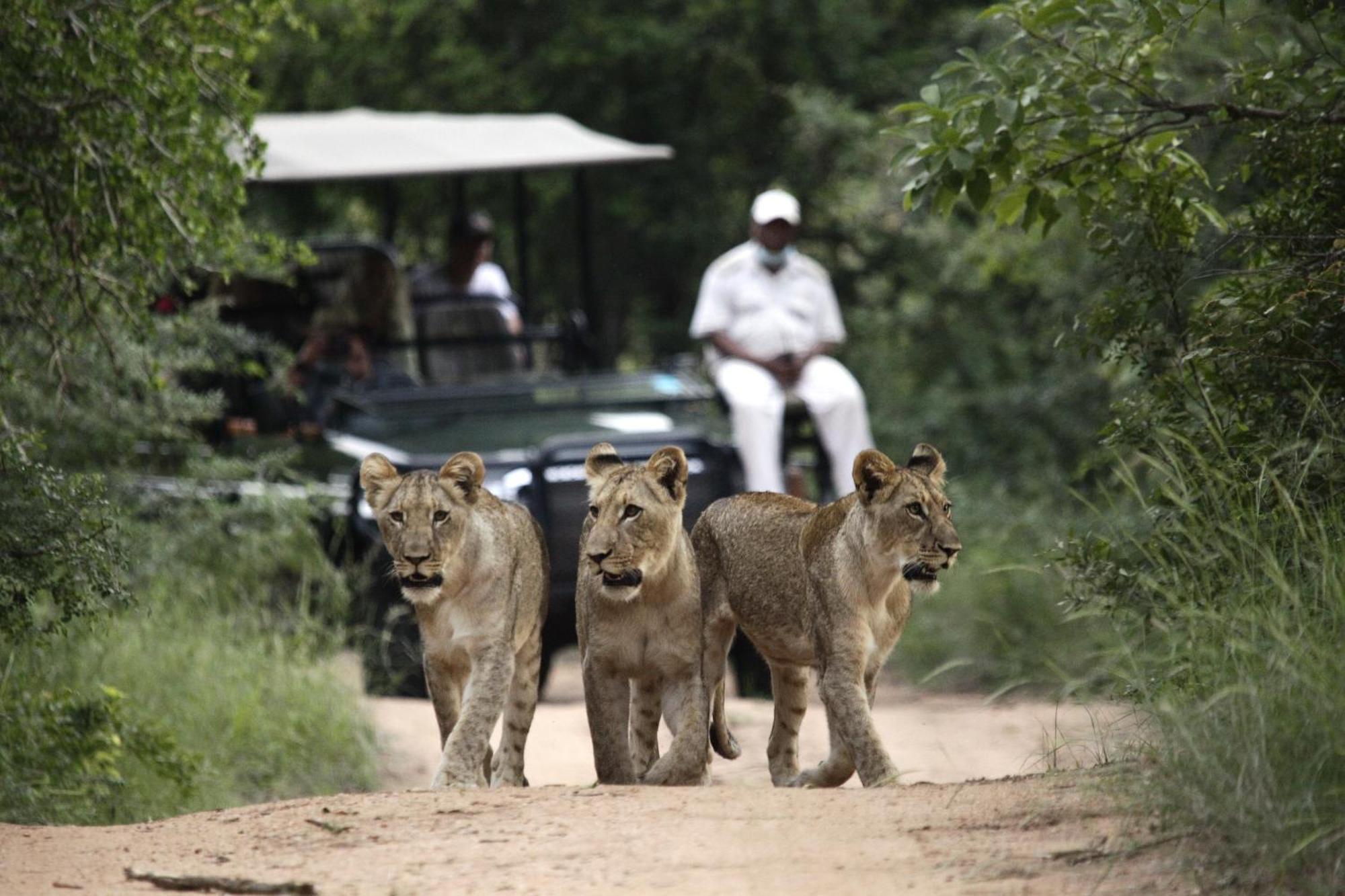 Kuname Lodge Karongwe Game Reserve Exterior foto